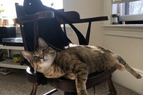 MILANSPORT入口-凯瑟琳·伯科夫赛后感谢团队支持，凯瑟琳波尔科维奇