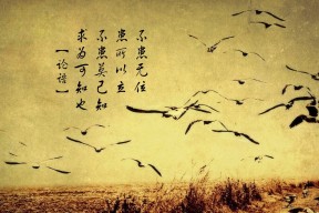 米兰体育-运动装备质量检测技术创新，运动装备鉴定