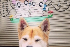 米兰体育APP-特色足球运动在农村推广，助力乡村振兴战略落地，农村小学足球运动的意义