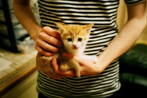 Milan Sports-解析印度乒乓赛制：战术深度与赛制变革，印度乒乓球名将