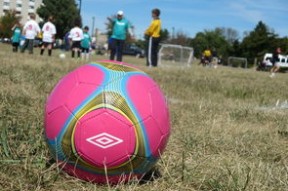 米兰体育官网-CBA全明星赛气氛火爆年轻球员表现亮眼，cba全明星赛明星