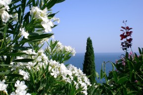 MILANSPORT下载-转会市场数据：盘点最受关注的潜力巨星，2021转会市场最新动态