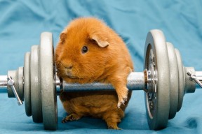 -恩多比·恩乔：他的进攻视野帮助南非队在关键时刻掌控比赛节奏