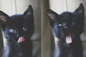 米兰体育-弗拉门戈中场调度精准，进攻转换流畅，弗拉门戈对竞技俱乐部