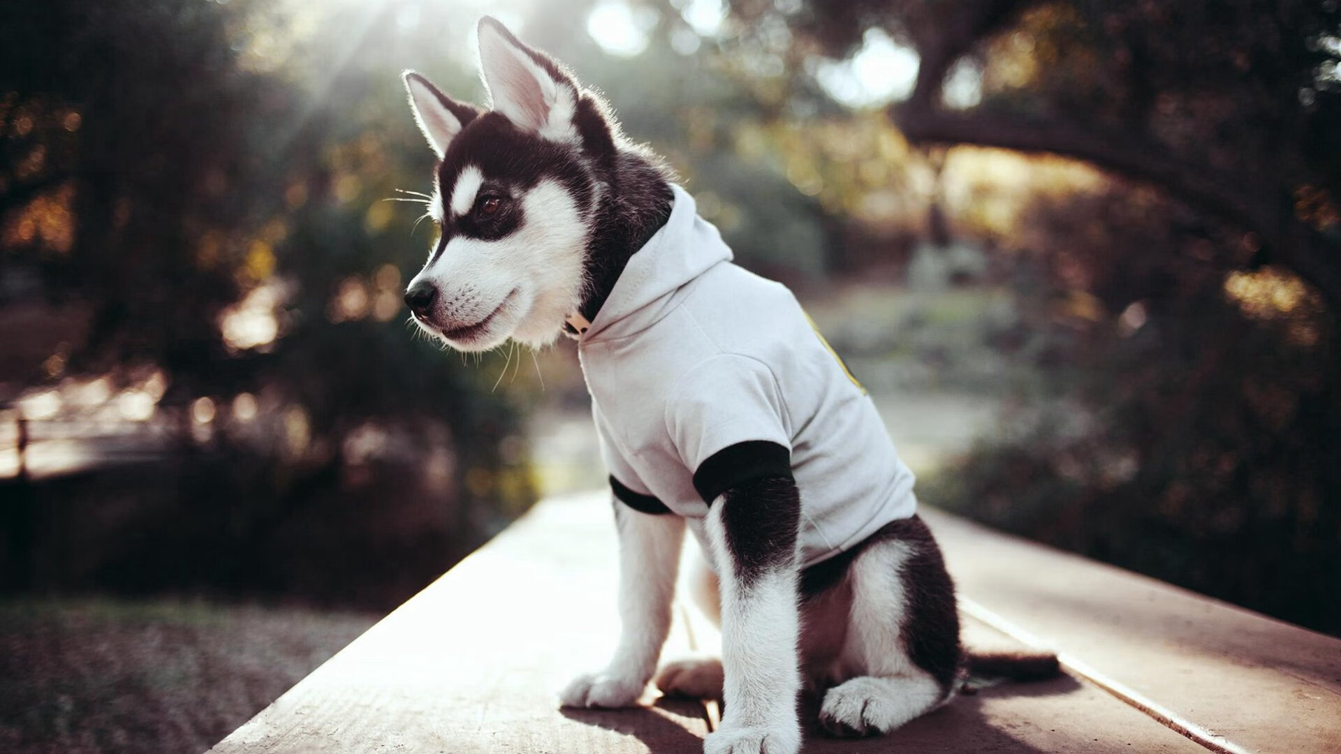 五大联赛穿插阵型策略对球员适配性挑战分析，五大联赛穿插阵型策略对球员适配性挑战分析的影响