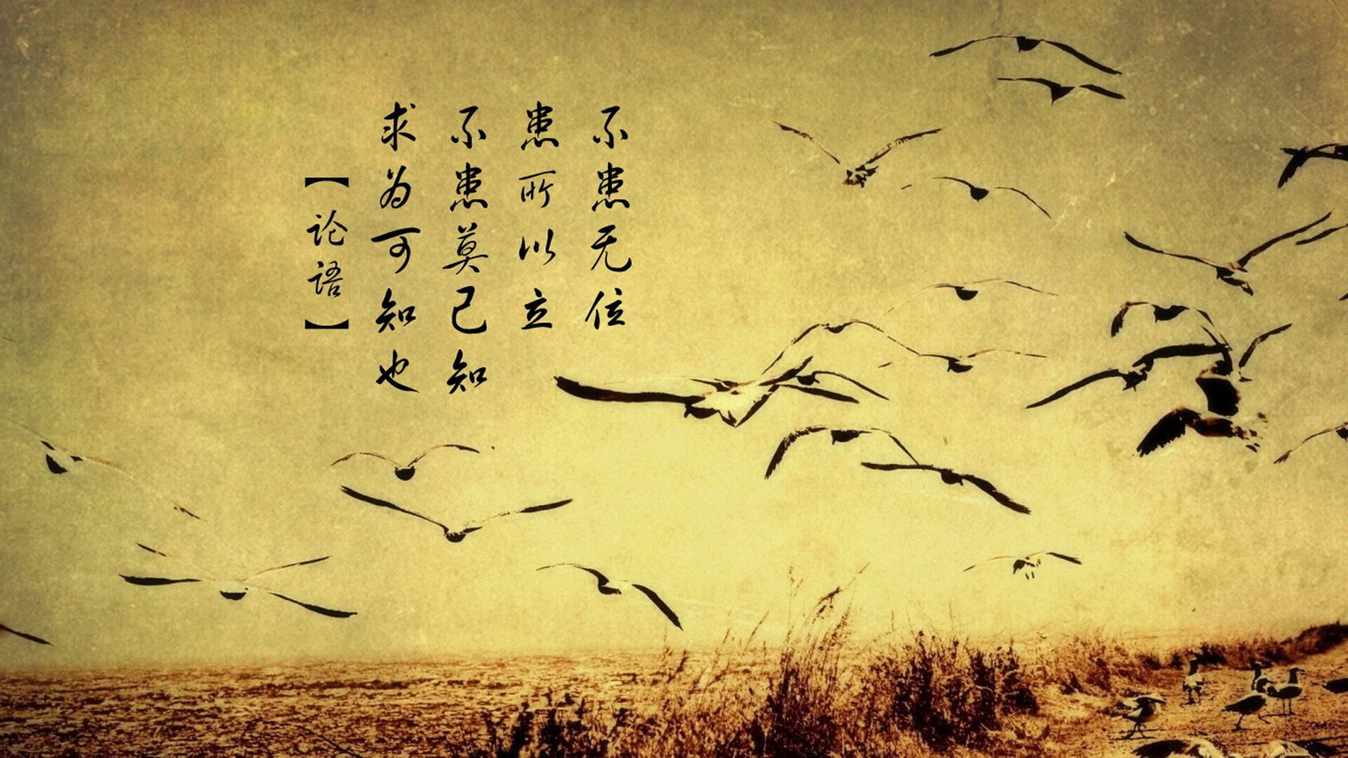 体育新闻中心协办体育科技创新与传播融合峰会，全国体育新闻传播学术研讨会