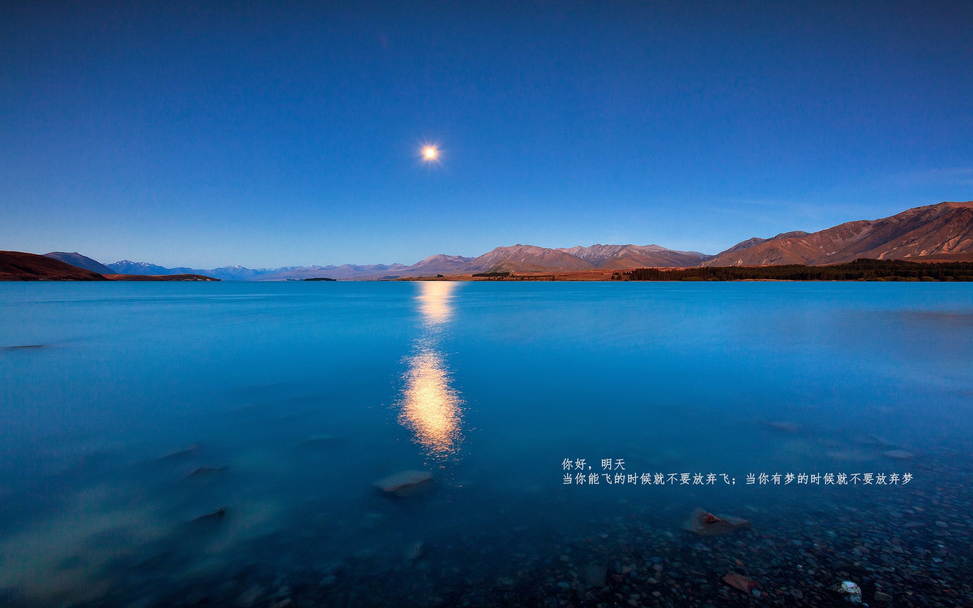 美澳选手高频换气与高强度并存