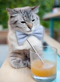 国足对阵强队丢球类型整理,国足输过哪些弱队