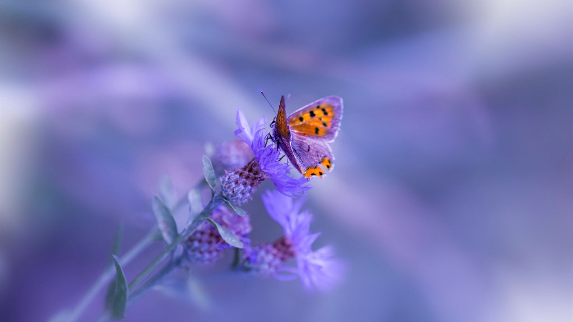 国足对阵强队丢球类型整理,国足输过哪些弱队