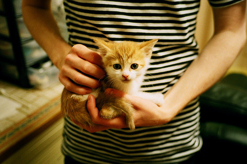 解析印度乒乓赛制:战术深度与赛制变革,印度乒乓球名将