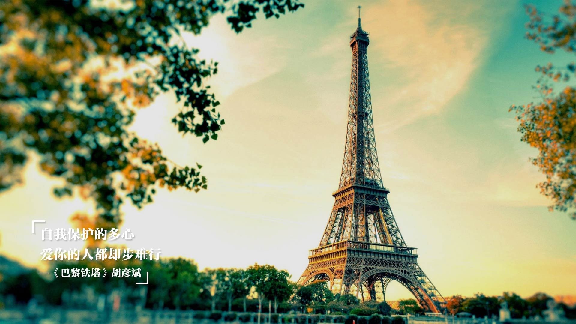 青训体系注重技术与体能结合，青训体系是什么