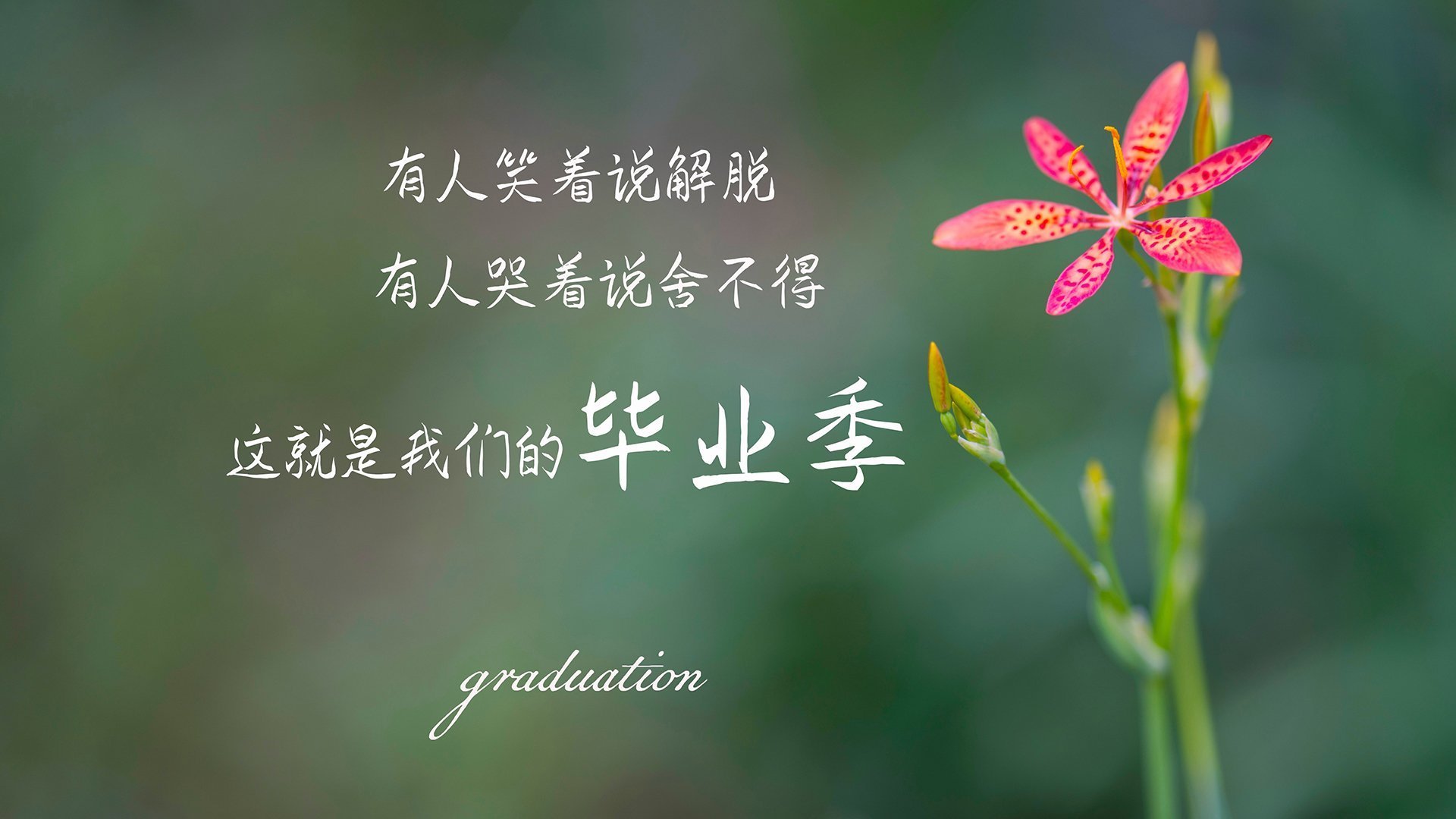 体育新闻中心公开国家级体育场馆建设进度通报，中国体育场馆的建设情况