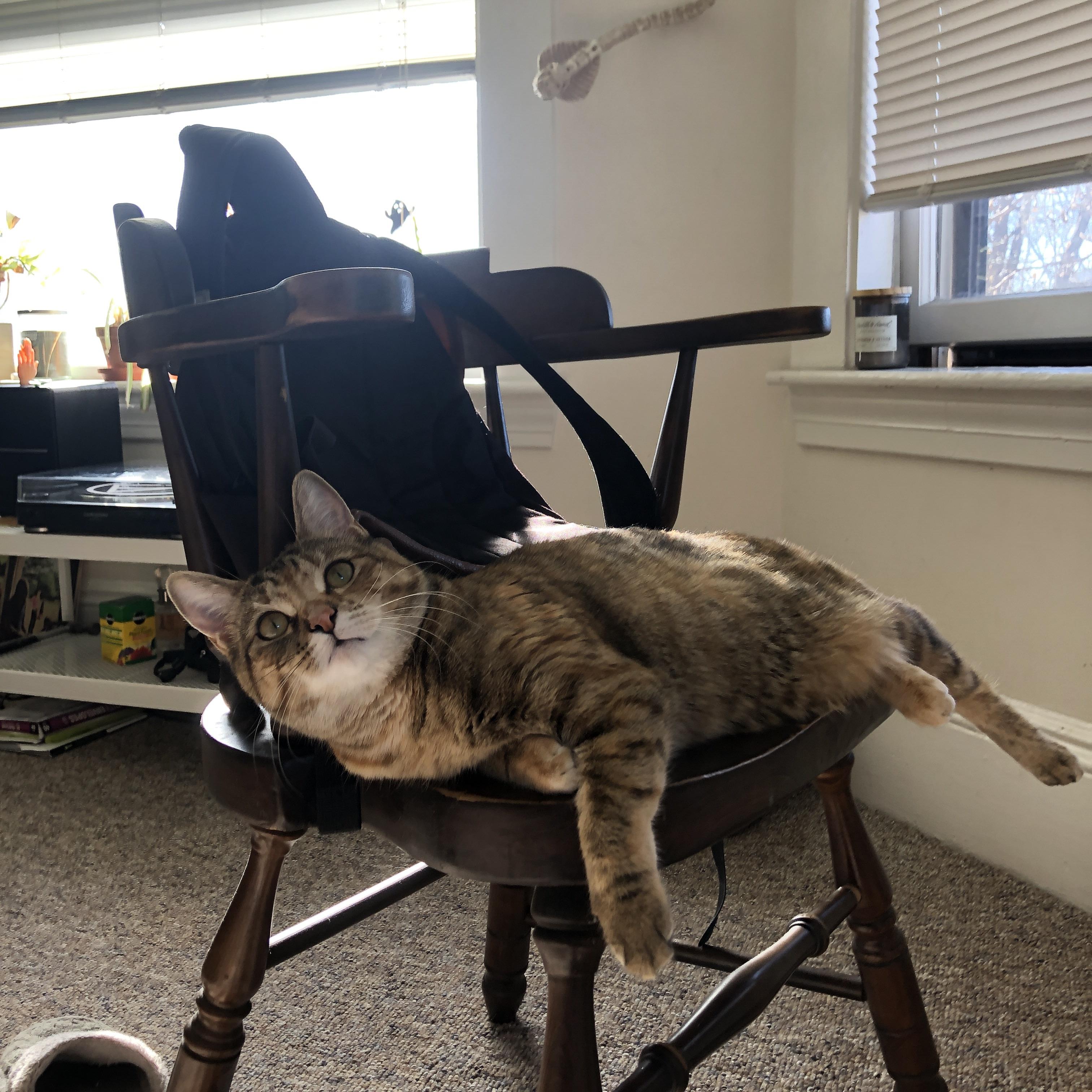 凯瑟琳·伯科夫赛后感谢团队支持，凯瑟琳波尔科维奇