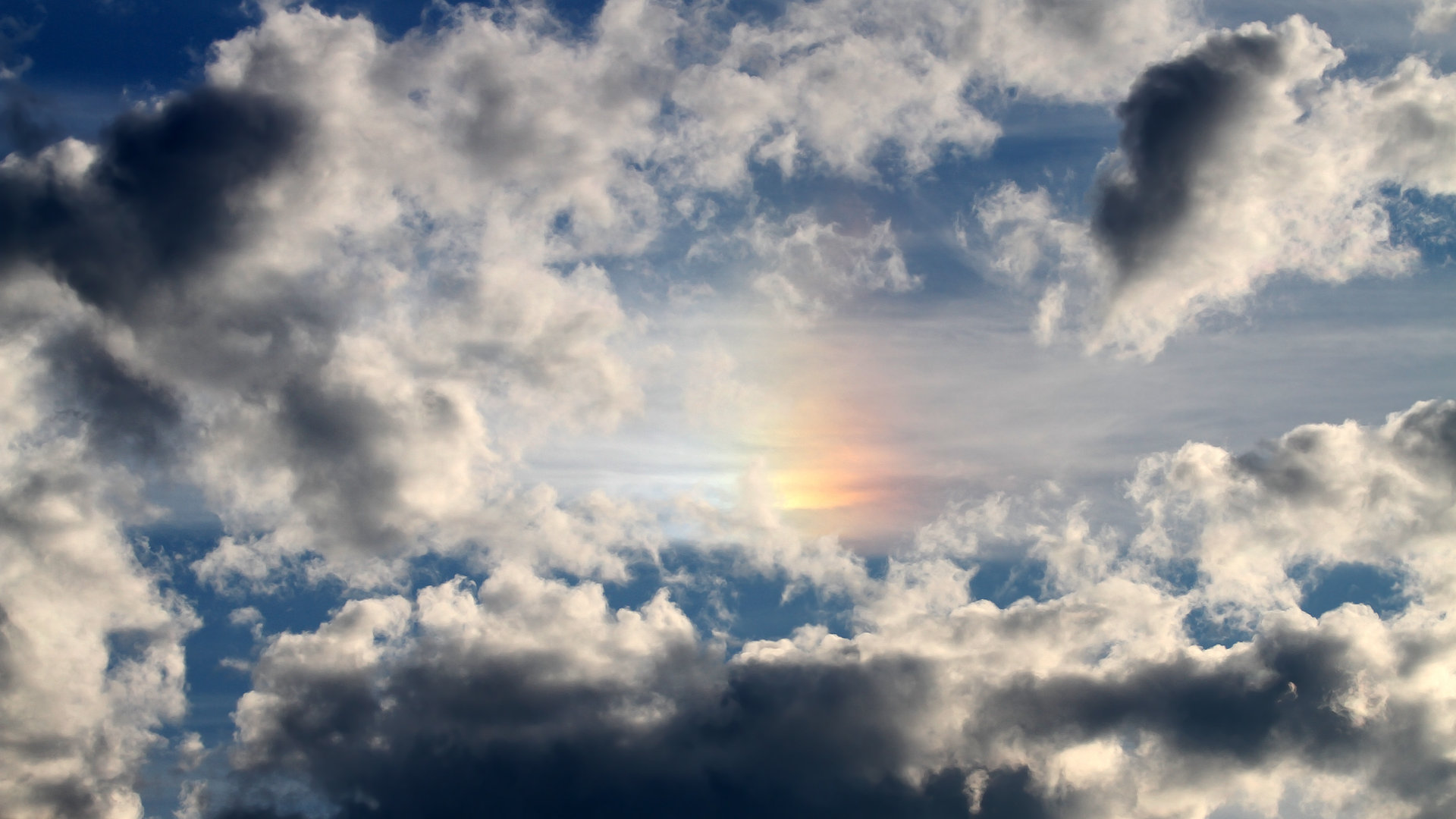 多名运动员参与学校公益活动传递体育精神影响青少年，运动员接受捐赠