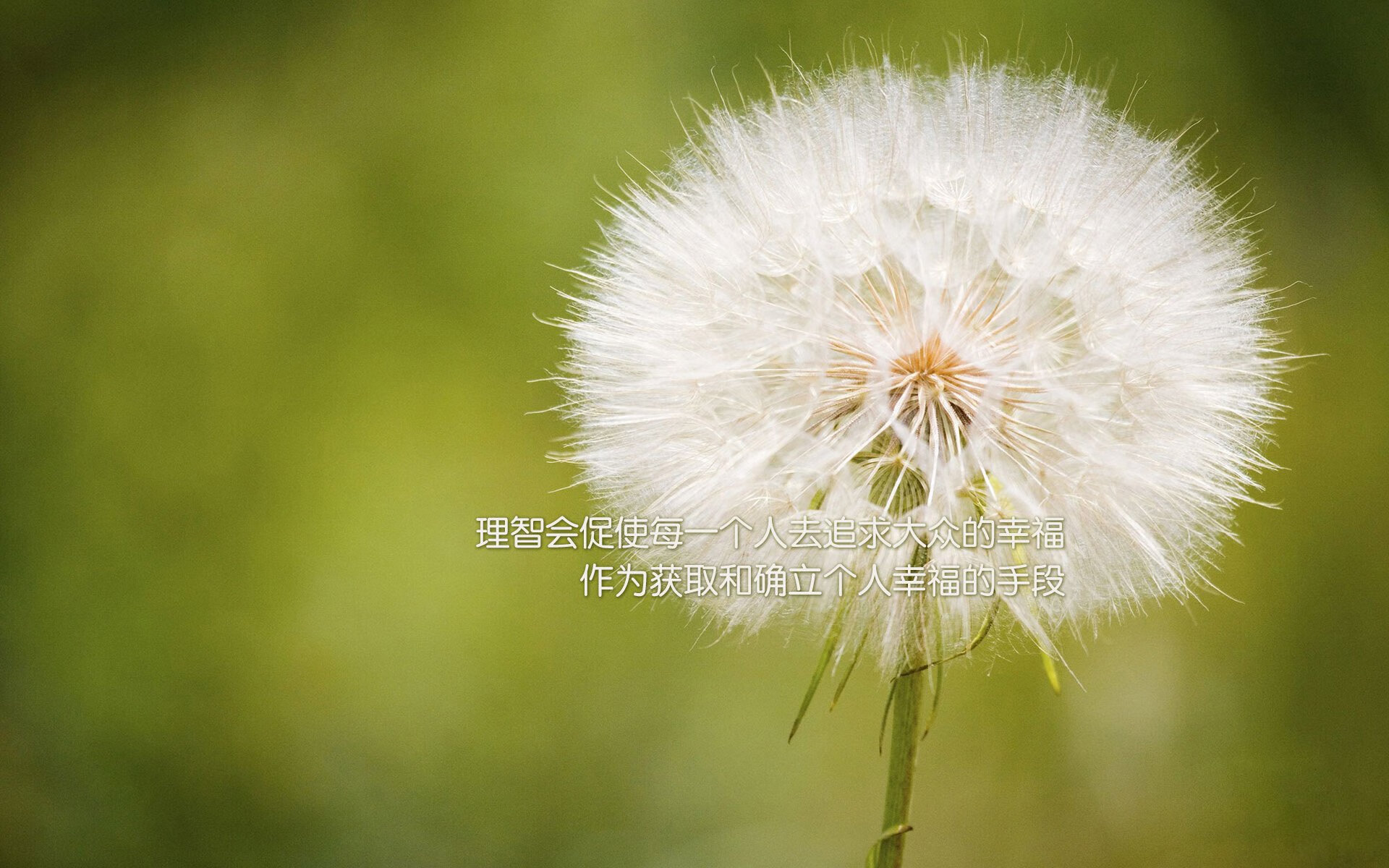 慢节奏控场战术是否适合双核结构的球队，慢节奏定义