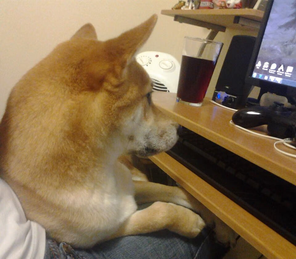 新加坡队在国际乒联混合团体世界杯赛场的关键时刻表现分析,新加坡乒乓球世锦赛