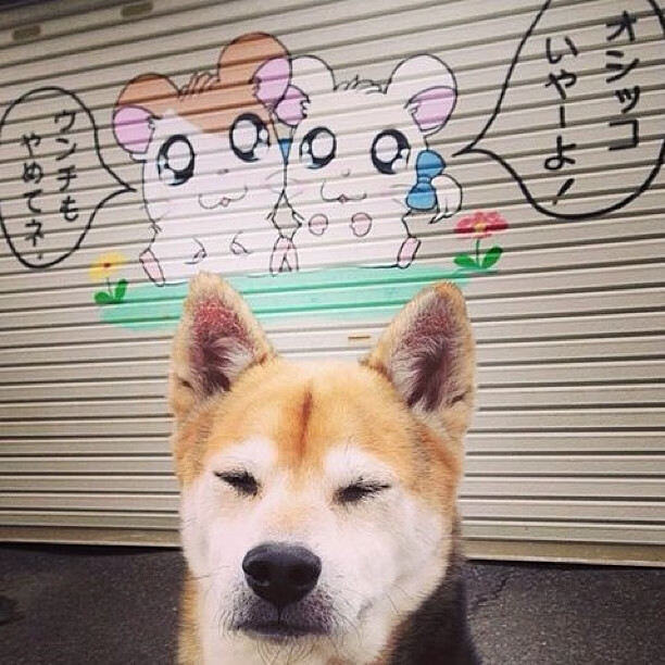 特色足球运动在农村推广，助力乡村振兴战略落地，农村小学足球运动的意义