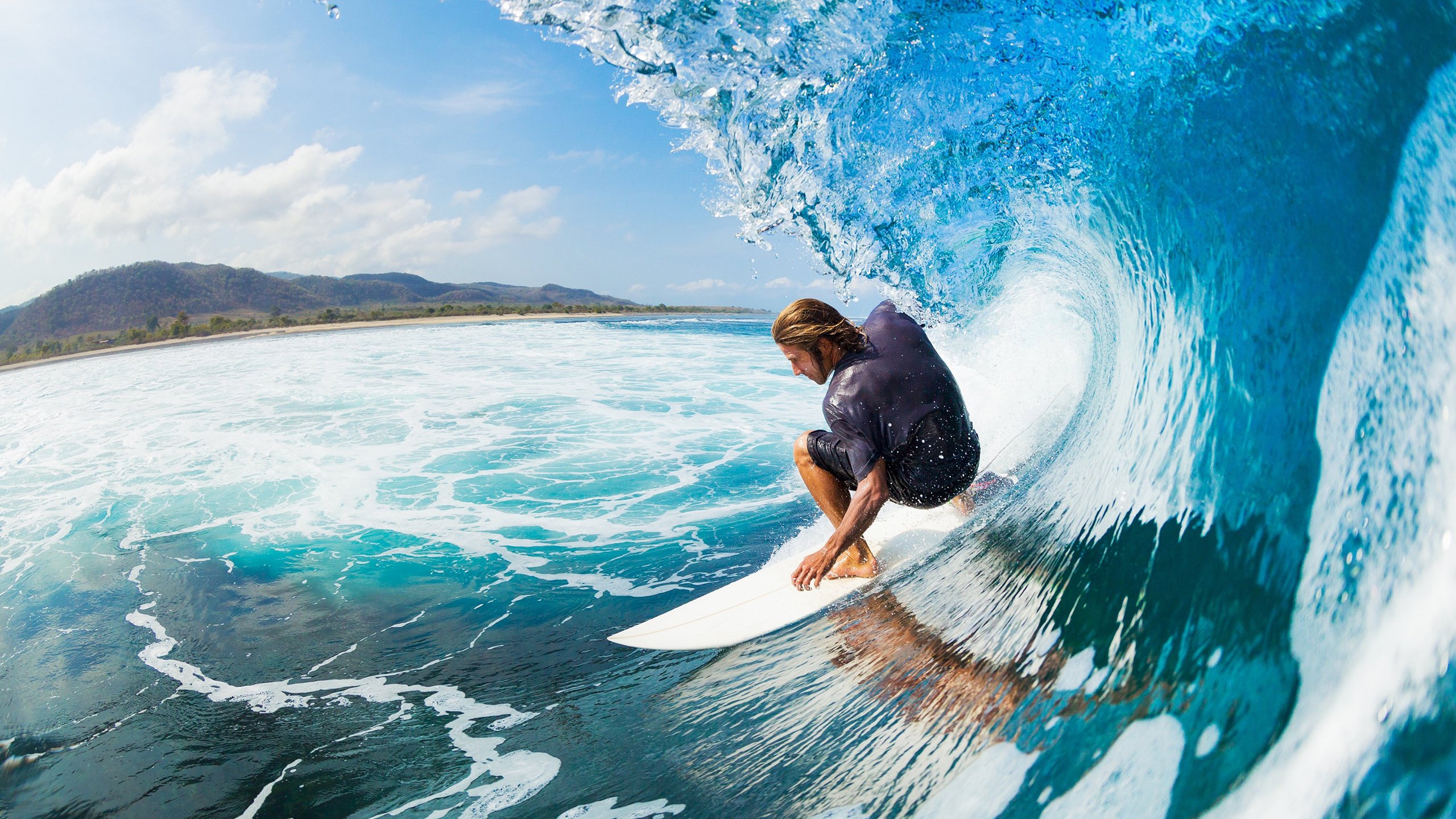 体育新闻年度总结